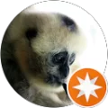 Adie Klein Avatar