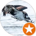 Mark Gordon Avatar