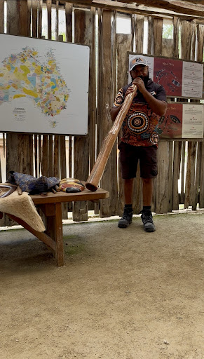 media thumbnail 5