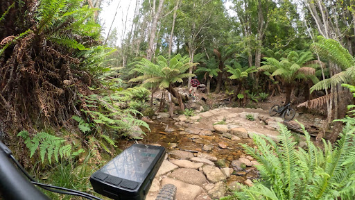 media thumbnail 5